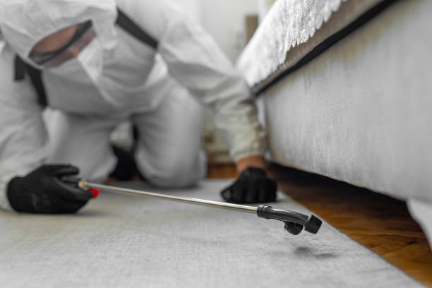 Professional Cockroach Control technician working in Privateer, SC